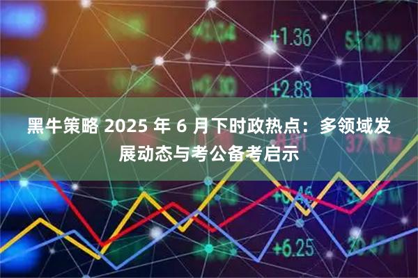 黑牛策略 2025 年 6 月下时政热点：多领域发展动态与考公备考启示