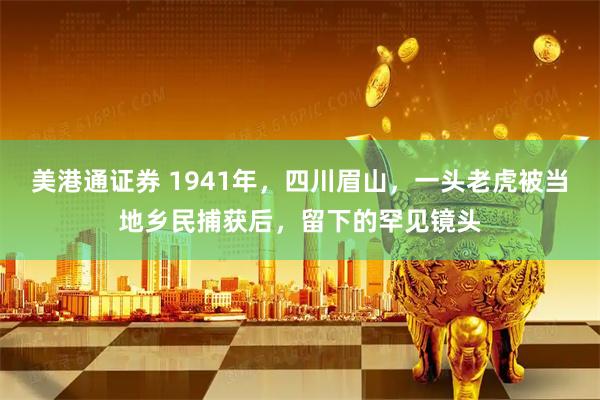 美港通证券 1941年，四川眉山，一头老虎被当地乡民捕获后，留下的罕见镜头