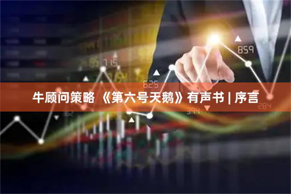 牛顾问策略 《第六号天鹅》有声书 | 序言