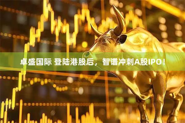 卓盛国际 登陆港股后，智谱冲刺A股IPO！