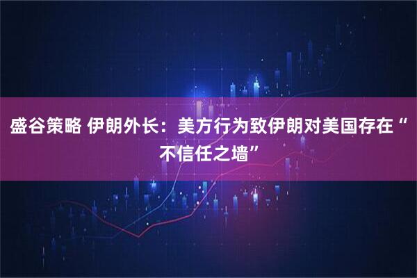 盛谷策略 伊朗外长：美方行为致伊朗对美国存在“不信任之墙”
